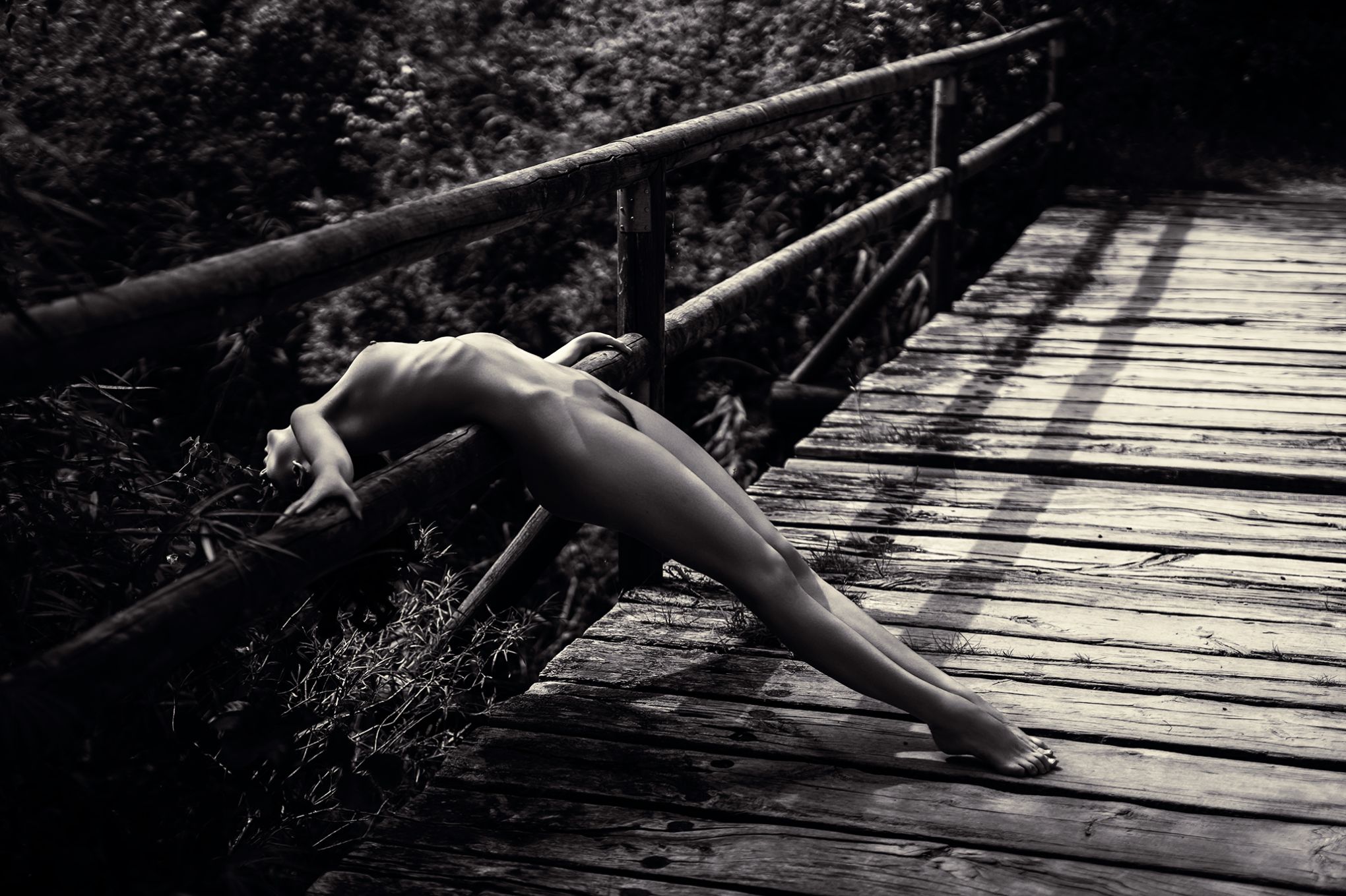 Naja Nuller030348,20